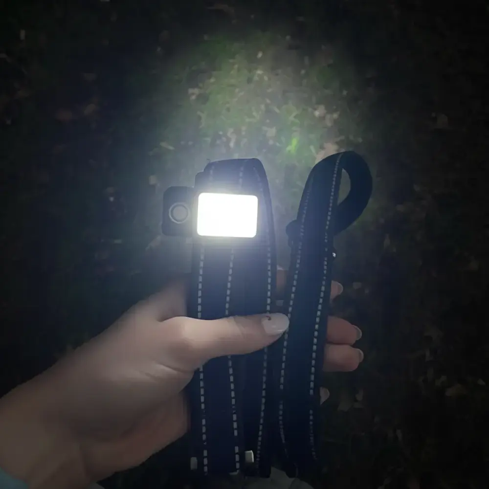 Thumbnail 11